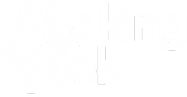 Making Web