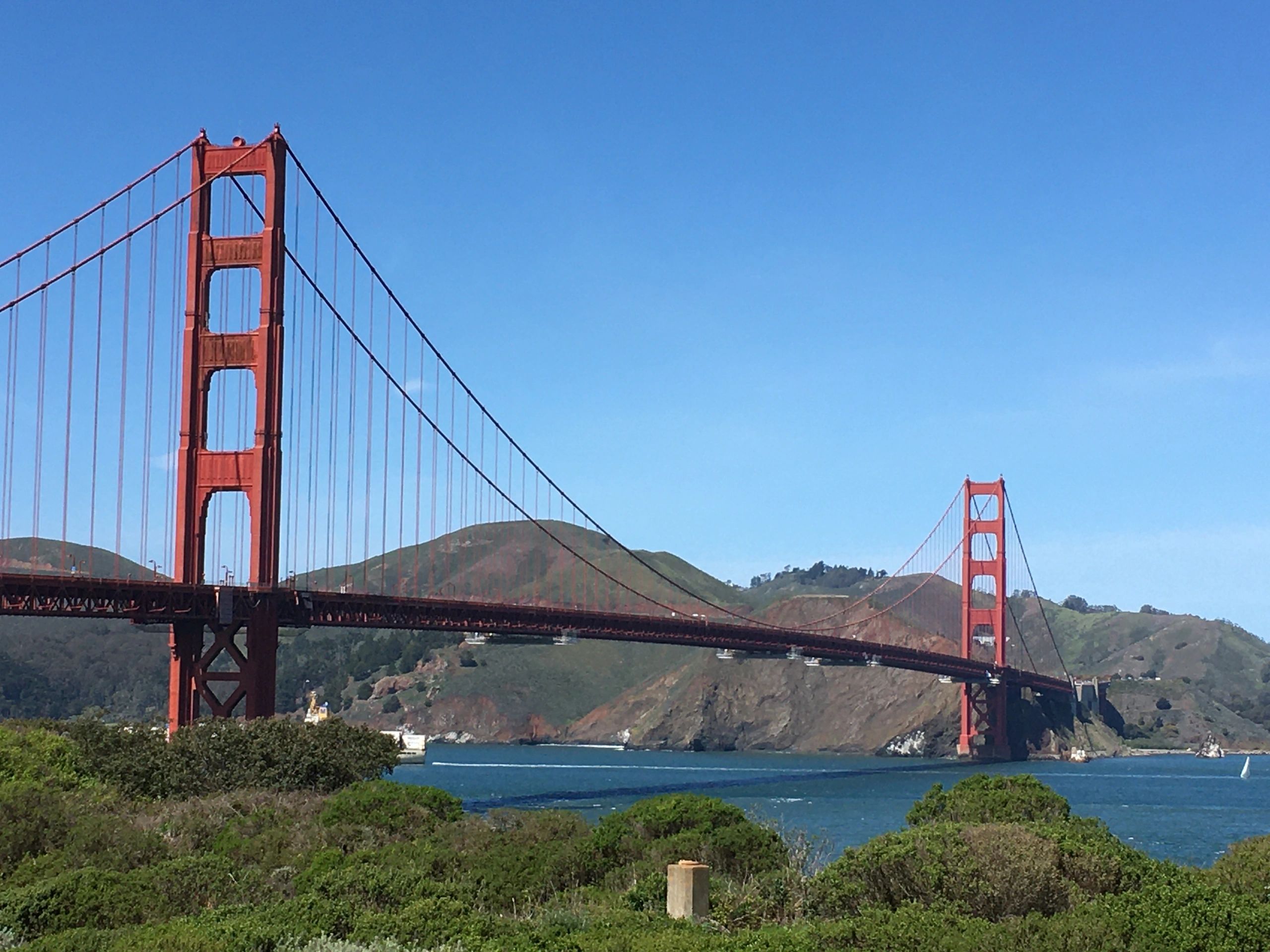 Unleash The Free Birthday Bonanza In San Francisco: A Comprehensive Guide To Treats, Activities, And Perks