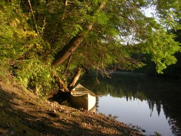 A small boat moored by a peaceful forest riverbank.
