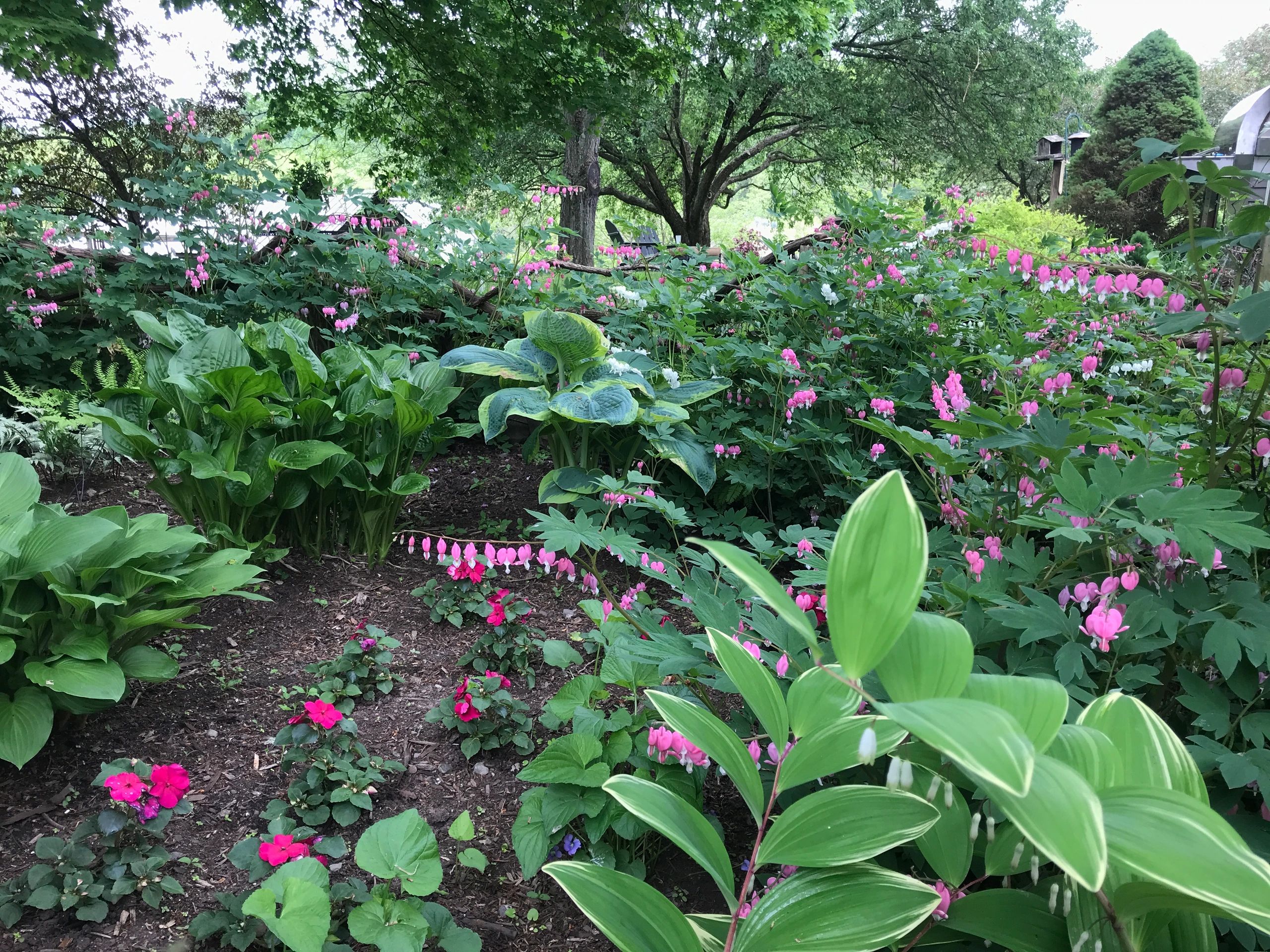 ELLIOT J MARTIN CHIROPRACTOR in Valatie, New York