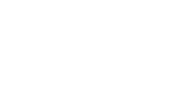 Stronico Resources Inc.