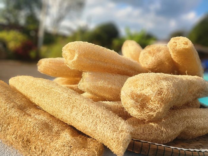 Stack of natural round loofah sponges 