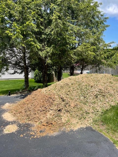 A dump-truck FULL of FREE Chips!