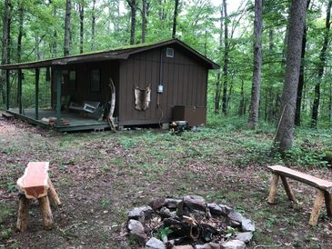 Lazy Bear Cabin