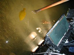 The flounder finder game, Can you find the flounder on the sea floor? 5 minutes of fun. 