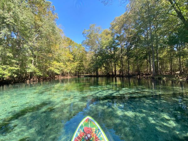 Clear river with trees and paddleboard under blue sky.