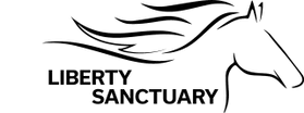 THE LIBERTY SANCTUARY