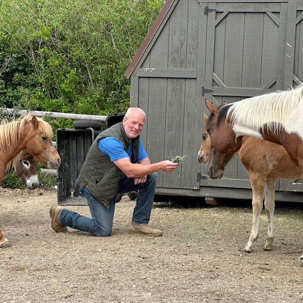 Man kneeling and feeding horses in a farmyard.