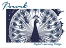 Peacock Digital Learning Design