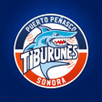Peña beisbolera de Puerto Peñasco