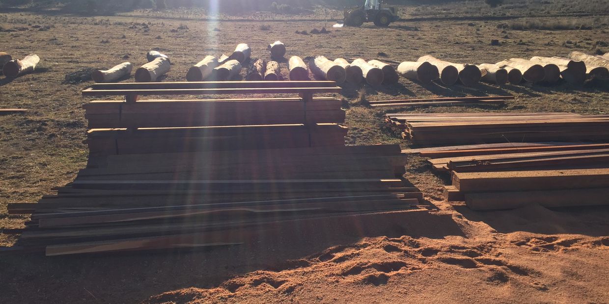 STARK'S TIMBER & BISON CLINICS in Kingaroy, Queensland
