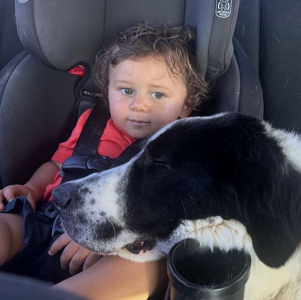 A toddler in a car seat with a black and white dog resting its head nearby.