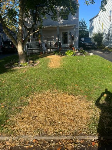 House decorated for Halloween with pumpkins and spooky ornaments.