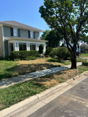 Suburban house with a porch and a tree-lined sidewalk on a sunny day.