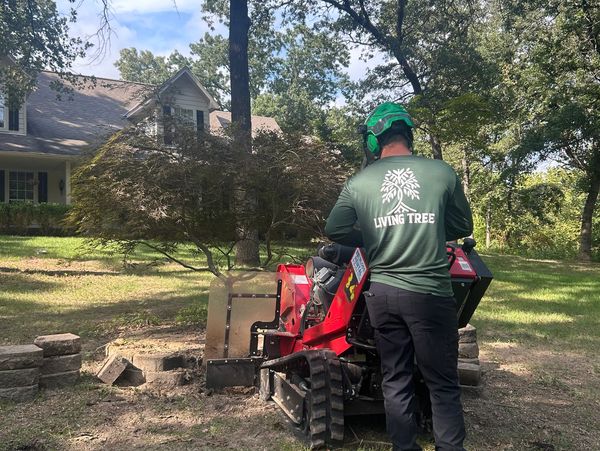 A worker in safety gear operates a red stump grinder in a residential yard.