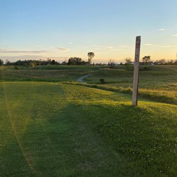 Picture of a green land golf course