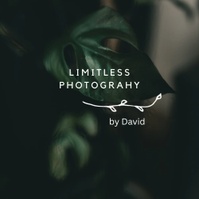 Limitless photography by David