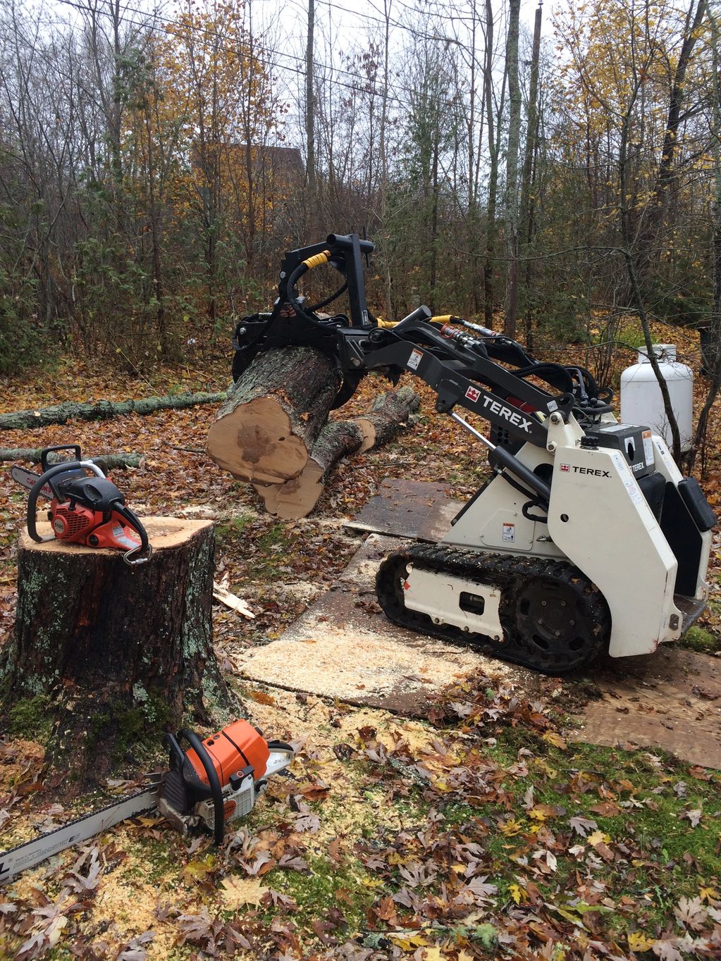 Removing wood using a Thomas 45DT loader with Branch Manager Grapple.