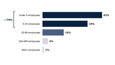 Employer firms by enterprise size band: 45% under 5 employees, 79% under 20