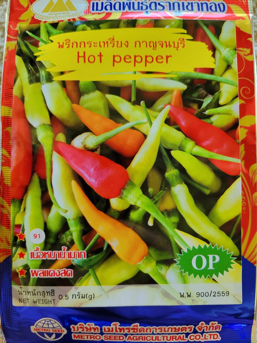 The Hottest Chili Peppers in Thailand Medium length GM