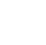 Gundog Bootcamp