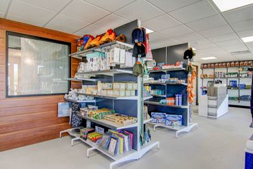 Inside a well-lit store with organized shelves displaying various products and books.