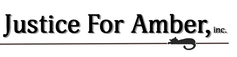 Justice For Amber