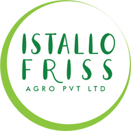 IstalloFriss