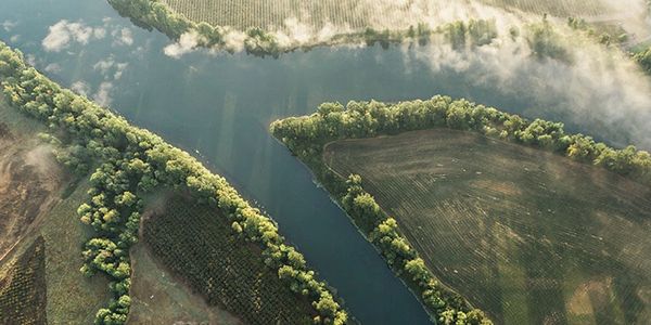 Nature-inspired setting near the Willamette River in Eugene, Oregon
