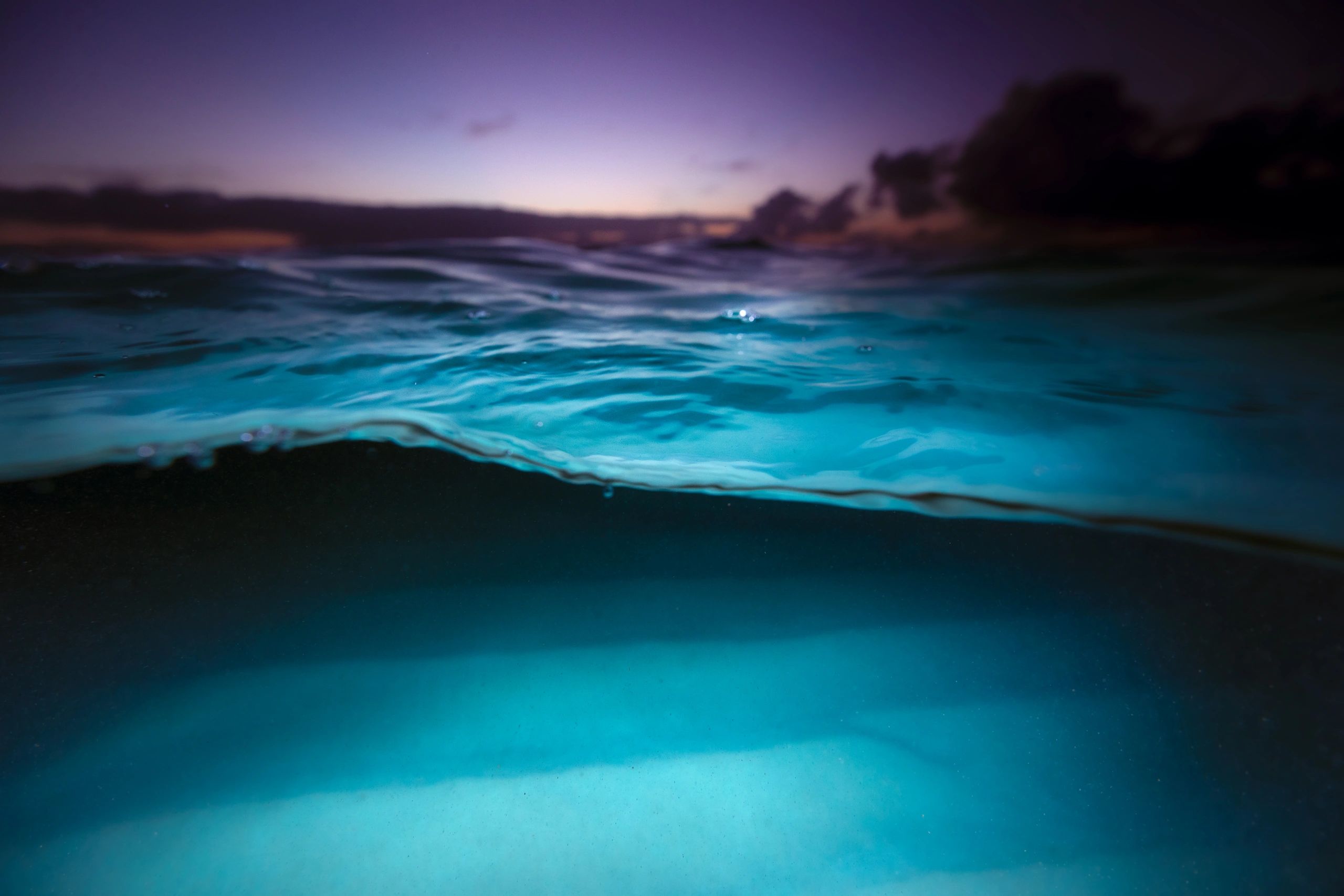 Ocean Interconnectedness Inspires Appreciation & Care