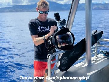 Stunning marine photography by Juan Sharks, available as prints and on ocean-themed merchandise