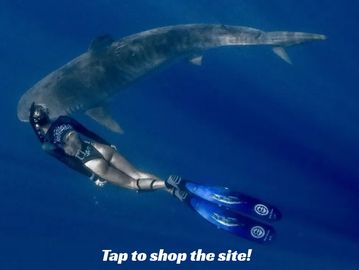 Reversible ocean inspired bikinis from OneOcean made from recycled materials to support conservation