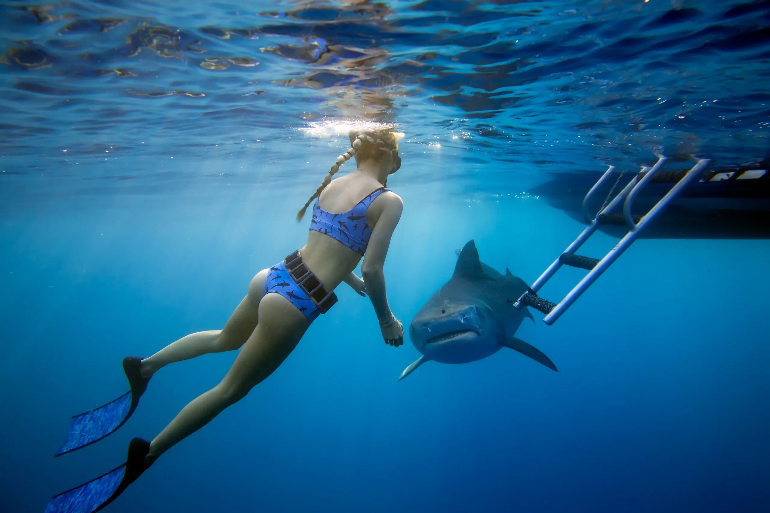 Морской нападение. Девушка плавает с акулами. Девочка плавает акула. Человек плавает с акулами.