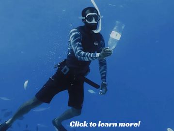 Sponsor a Sea Life Saving Swim with Save The Sea Turtles International to protect marine life