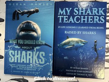 Shop Ocean Ramsey’s books and conservation gifts at One Ocean Hawaii to support marine life