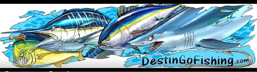 Destin go fishing, DestinGoFishing.com,  Fishing charter, state water fishing charter, shark fishing