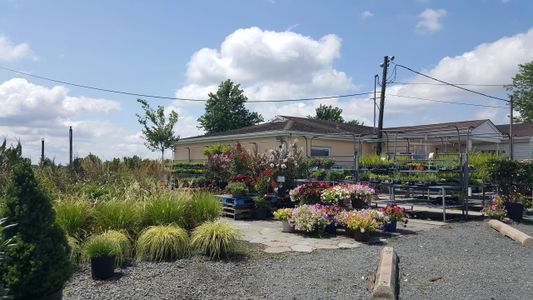 About Us | Arvin Produce and Garden Center