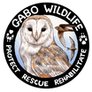 Gabo Wildlife