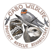 Gabo Wildlife