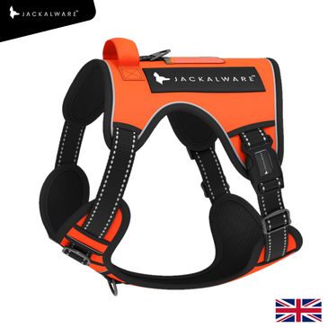 Orange Jackalware comfirt fit Dog harness