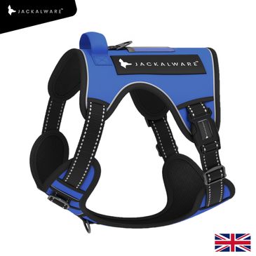 Blue Jackalware comfort fit dog harness