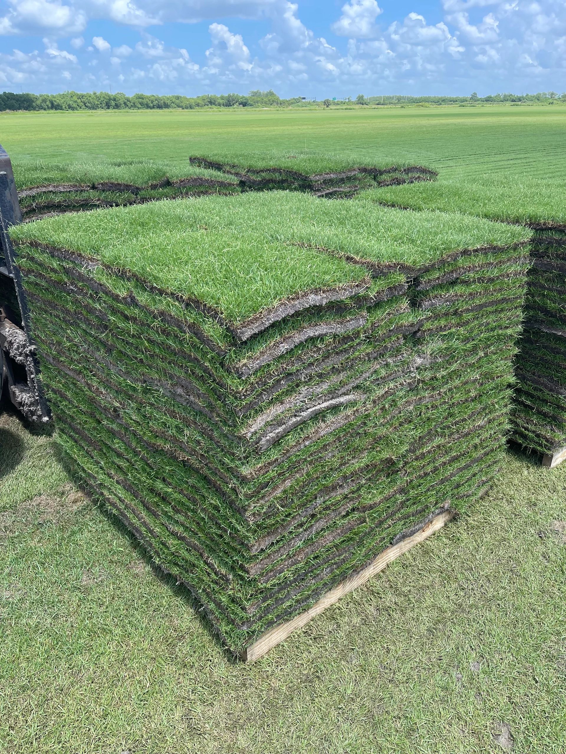 Meyer's Turf Nursery West Palm Beach, Florida