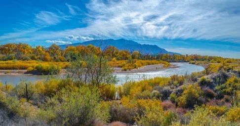 Environmental Testing Services