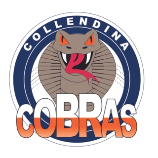 Collendina Cricket Club 