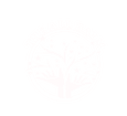 The All Balm