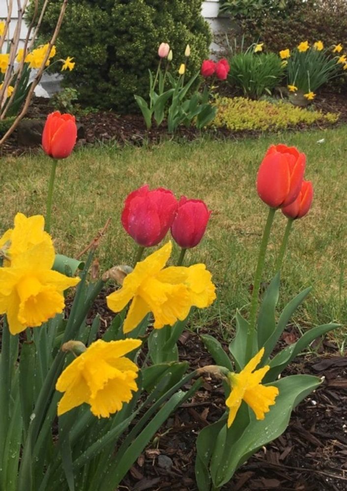 The Community Church of Wurtsboro Church, Christian