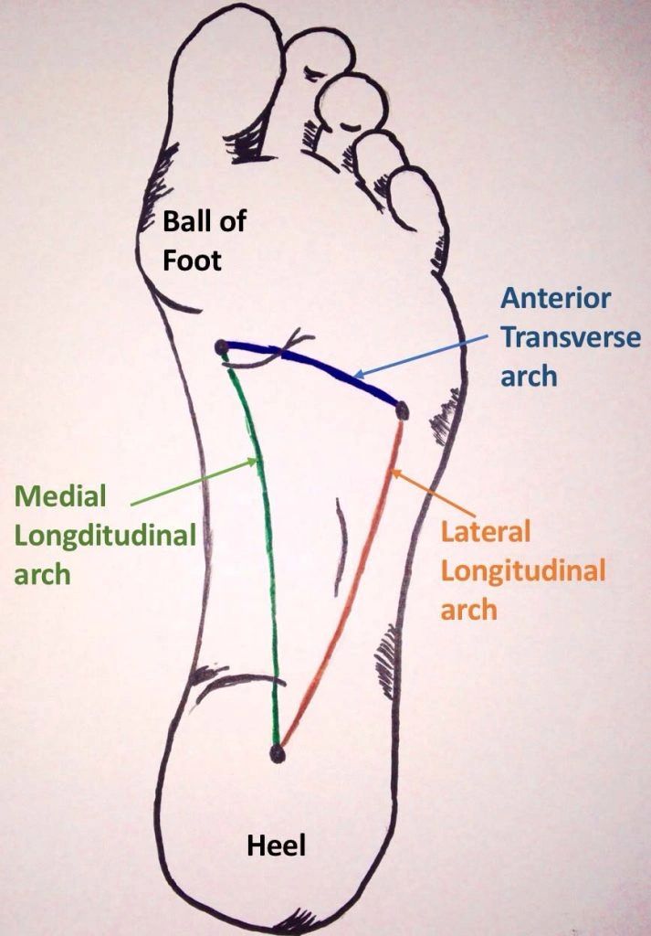 triangles-of-anatomy-the-foot