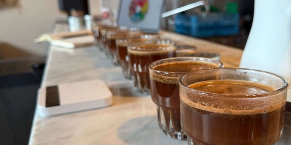 espresso filled glasses in a row viewed from down the counter