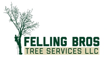 FellingBros Trees