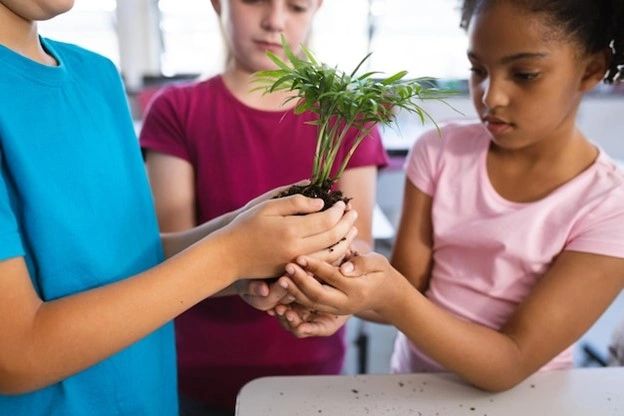 Children collaboratively holding a small potted plant indoors.